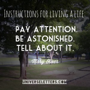 life instructions